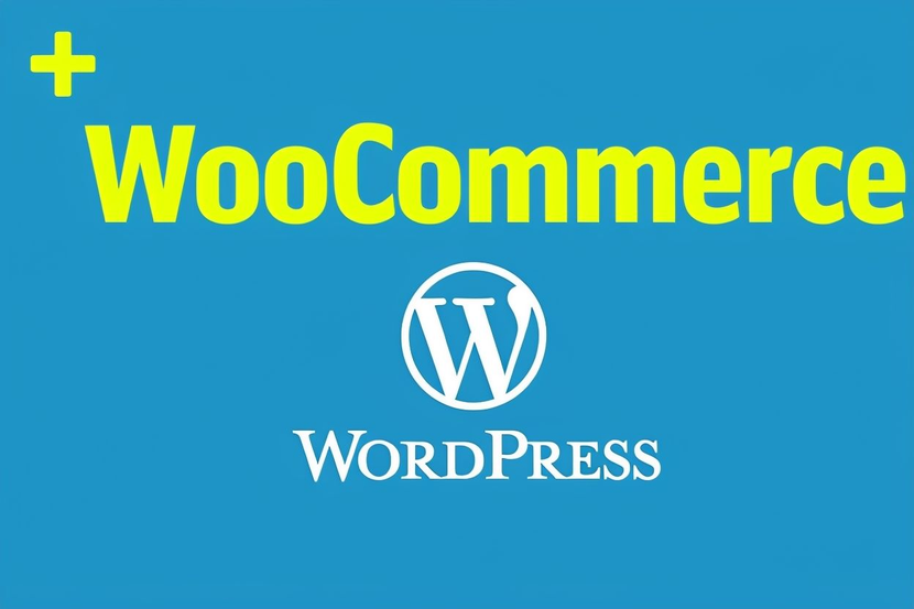 การพัฒนาปลั๊กอินแบบกำหนดเองสำหรับเว็บไซต์