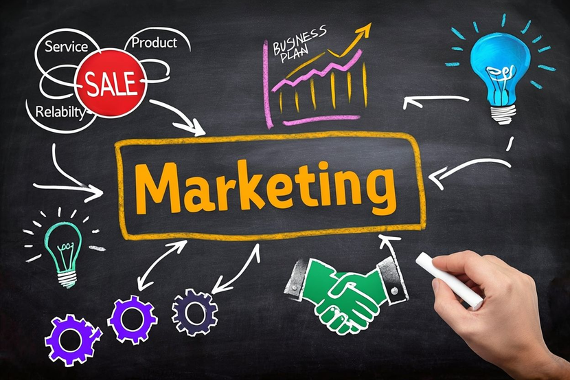 Website and market niche analysis